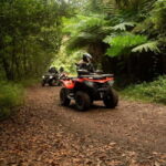 Madeira: Aventura Off-Road de ATV ou Quad - Adrenalina - Who Should Do This Tour?