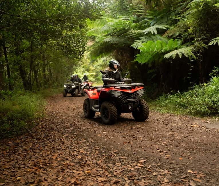 Madeira: Aventura Off-Road de ATV ou Quad - Adrenalina - Who Should Do This Tour?