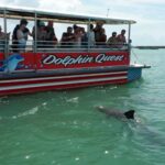 Madeira Beach: Guided Dolphin Watching Eco-Friendly Cruise - FAQs
