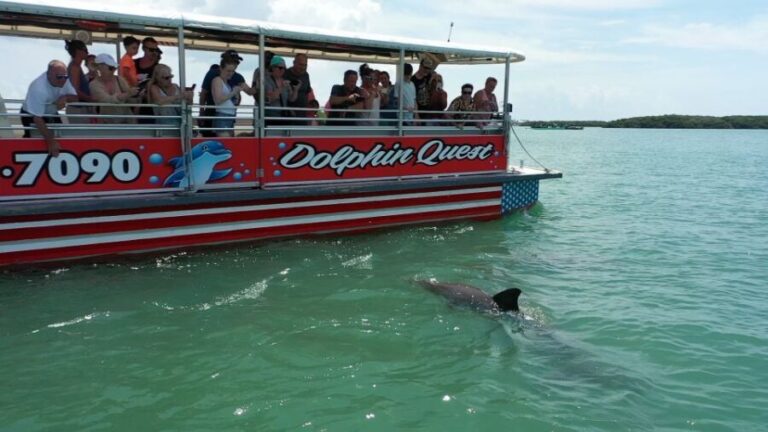 Madeira Beach: Guided Dolphin Watching Eco-Friendly Cruise - FAQs