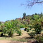 Madeira: Botanical Garden in a Tuk-Tuk Tour - What Sets This Tour Apart?