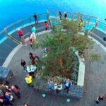 Madeira: Cabo Girao, Jeep Tour Adventure and Wine Tasting - Detailed Breakdown of the Itinerary