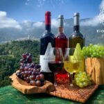 Madeira: Cabo Girão, Wine Tasting, & Serra d'Água Jeep Tour - Practical Aspects and Value