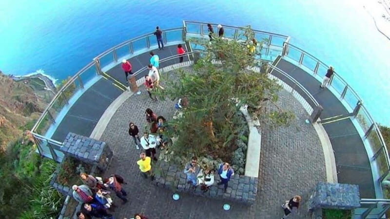 Madeira: Cabo Girão, Wines Experience and Dolphins Watching - The Winery Experience: A Deep Dive into Madeira’s Viticulture