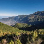 Madeira Complete 2-day Tour - The Experience: A Closer Look