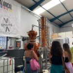 Madeira: Distilleries - Final Thoughts