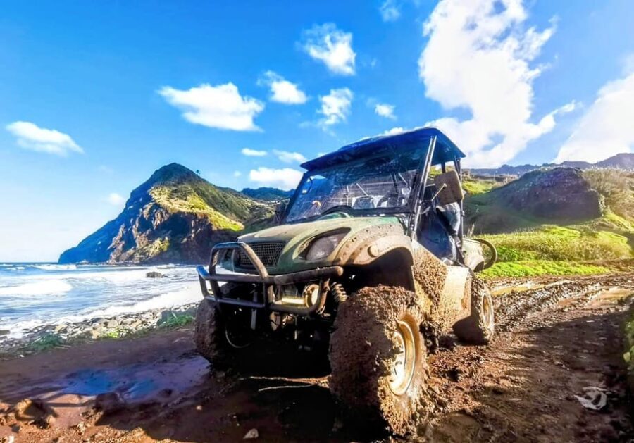 Madeira E-Buggy Adventure: 4x4 thrill & epic views! Book now - Who Should Consider This Tour?