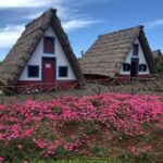 Madeira: East Coast, Sao Lourenço & Local farmers' market - Value and Practicality