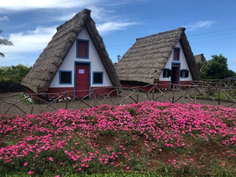 Madeira: East Coast, Sao Lourenço & Local farmers' market - Value and Practicality