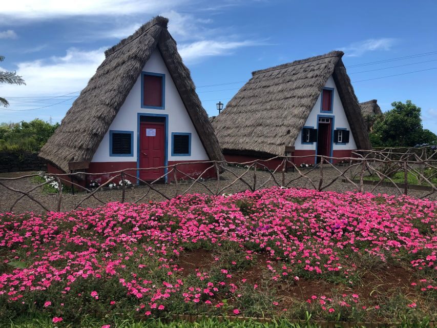 Madeira: East Coast, Sao Lourenço & Local farmers' market - Value and Practicality