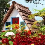 Madeira East Island Special & Levada Walking Tour with Meal and Drinks - A Detailed Breakdown of the Madeira East Island Tour