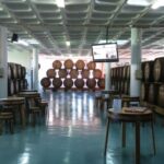 Madeira East or West Private Half-Day Tour by Open-Top Jeep - Exploring Madeira by Open-Top Jeep: What You Can Expect