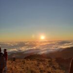 Madeira East Wonders 4X4 Tour Safari - Who Should Consider This Tour?