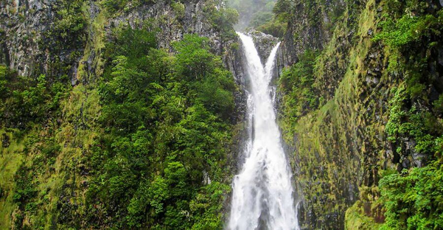 Madeira: Enjoy a Guided Levada Walk in the Rabaçal Valley - The Experience: A Deep Dive into the Rabaçal Valley Tour