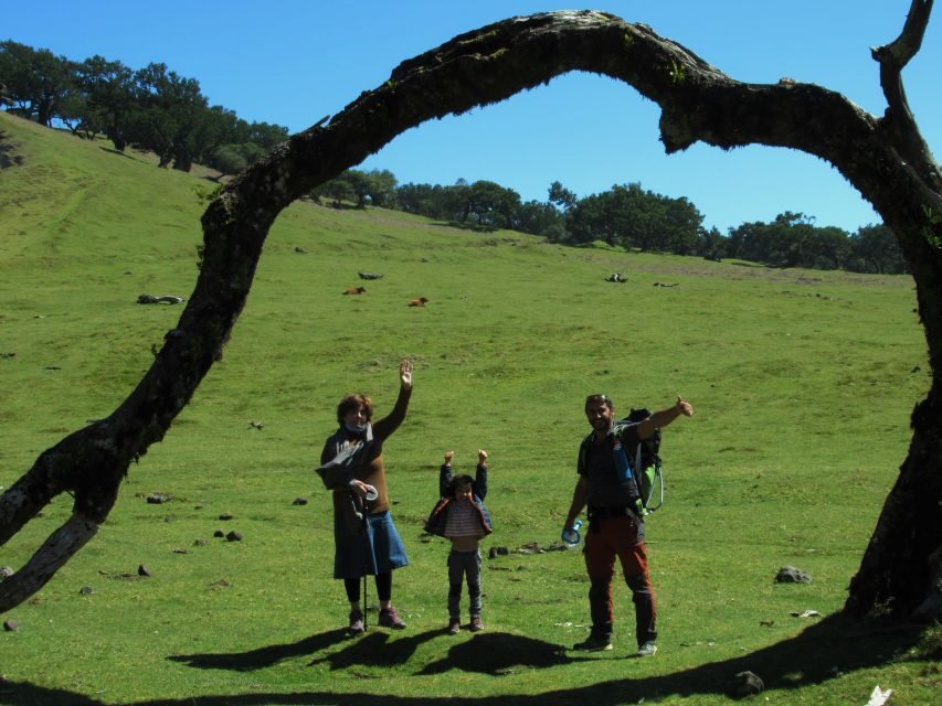 Madeira: Fanal Forest Guided Hiking Tour - The Sum Up