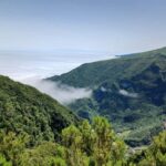 Madeira: Fanal Forest Walk & Meal - Culminating in a Traditional Espetada Feast