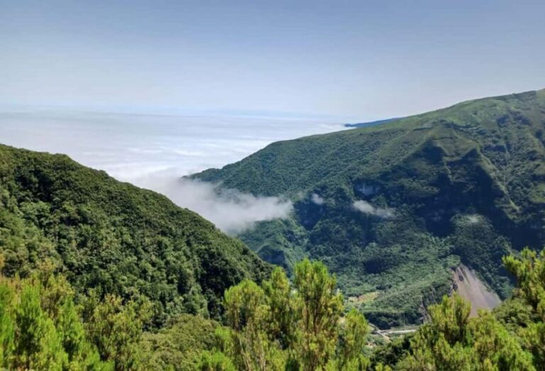 Madeira: Fanal Forest Walk & Meal - Culminating in a Traditional Espetada Feast