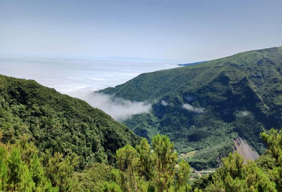Madeira: Fanal Forest Walk & Meal - Culminating in a Traditional Espetada Feast