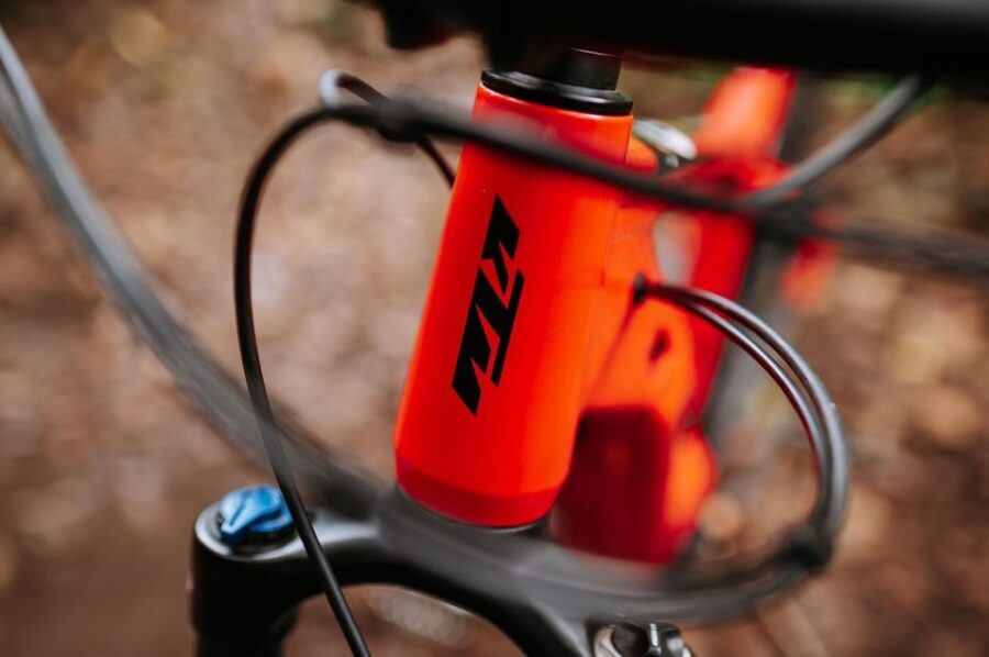 Madeira: Full Day E-Bike Rental - The Ride: What You Can Expect