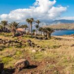 Madeira: Full-Day of Activities in Ponta de São Lourenço - Why This Tour Is Worth Considering