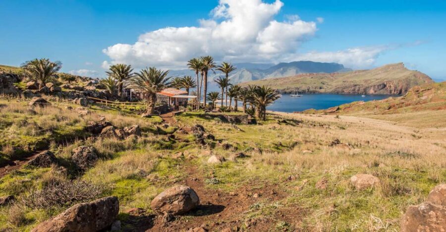 Madeira: Full-Day of Activities in Ponta de São Lourenço - Why This Tour Is Worth Considering