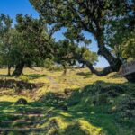 Madeira: Full-Day Porto Moniz Jeep Tour - Itinerary Breakdown: What’s Included and Why It Matters