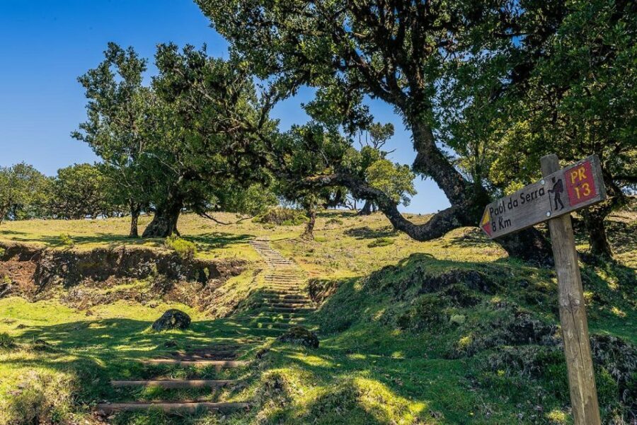 Madeira: Full-Day Porto Moniz Jeep Tour - Itinerary Breakdown: What’s Included and Why It Matters