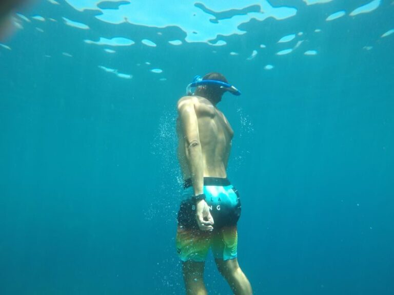Madeira: Garajau Nature Reserve Kayak and Snorkel Tour - Exploring Madeira’s Coastline From a Different Perspective