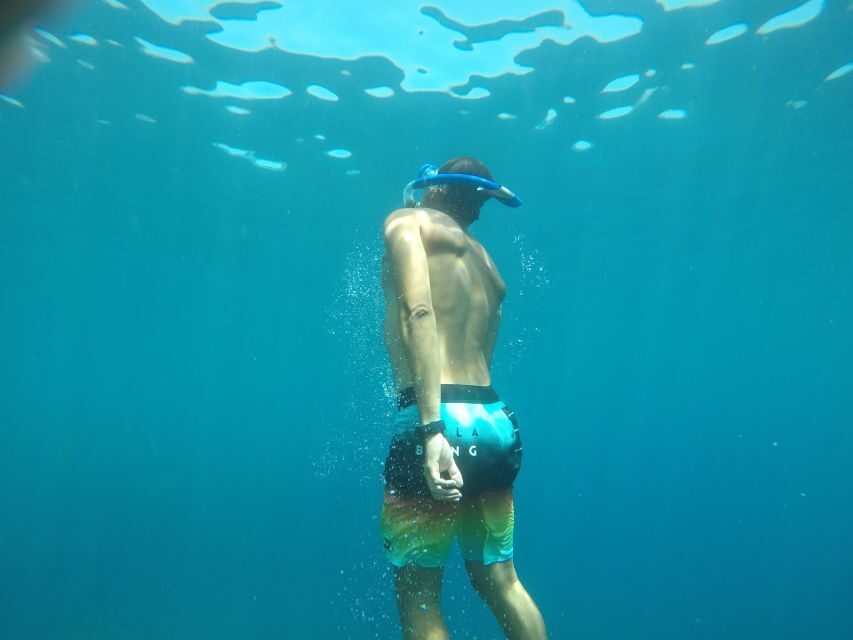 Madeira: Garajau Nature Reserve Kayak and Snorkel Tour - Exploring Madeira’s Coastline From a Different Perspective