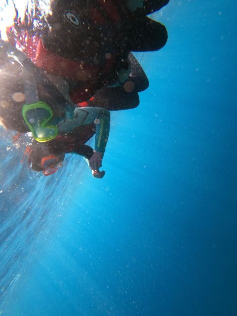 Madeira: Half-Day Coasteering Tour - What is Coasteering and Why It Matters