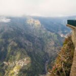 Madeira Half Day Small-Group Tour from Funchal - Authentic Experiences and Genuine Feedback