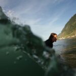 Madeira Island Bodyboard Experience - The Sum Up