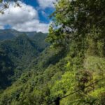 MADEIRA ISLAND WALK - HIDDEN CORNERS KINGS LEVADA - A Detailed Breakdown of the Experience