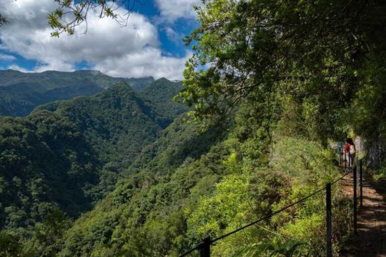 MADEIRA ISLAND WALK - HIDDEN CORNERS KINGS LEVADA - A Detailed Breakdown of the Experience