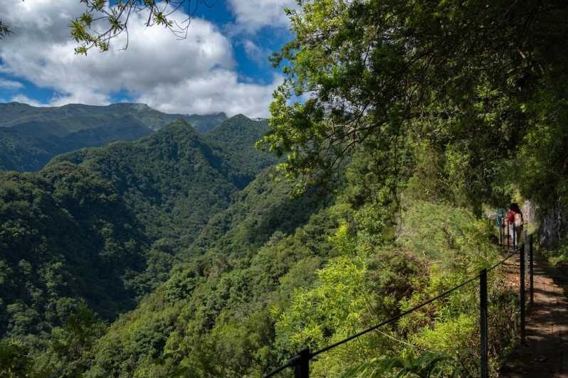 MADEIRA ISLAND WALK - HIDDEN CORNERS KINGS LEVADA - A Detailed Breakdown of the Experience