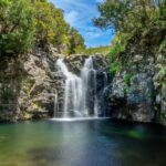 MADEIRA ISLAND WALK - LAKES OF MADEIRA , LEVADA DO ALECRIM - An In-Depth Look at the Madeira Lakes Walk