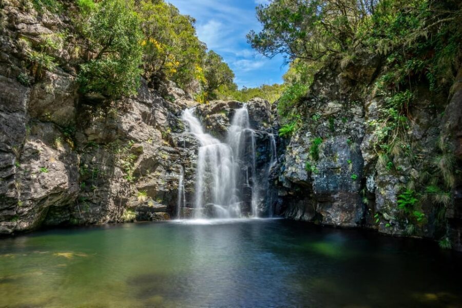 MADEIRA ISLAND WALK - LAKES OF MADEIRA , LEVADA DO ALECRIM - An In-Depth Look at the Madeira Lakes Walk