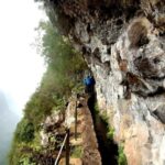 Madeira: Jungle Fever Levada Caldeirao Verde Hike Santana - What to Expect from the Experience