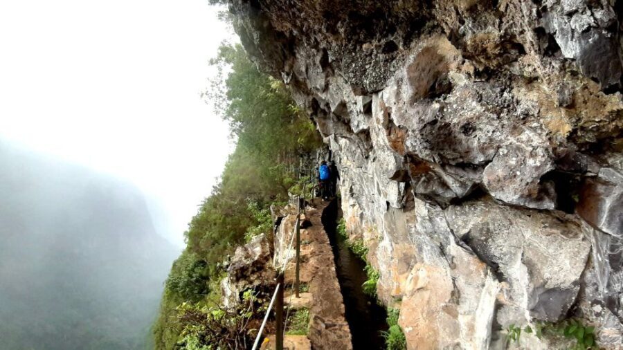 Madeira: Jungle Fever Levada Caldeirao Verde Hike Santana - What to Expect from the Experience