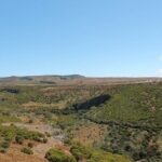 Madeira Lakes - Levada do Alecrim - Final Thoughts