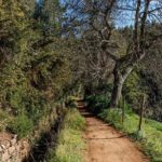 Madeira: Levada Paradise Valley Scenic Walk - An In-Depth Look at the Madeira Levada Paradise Valley Scenic Walk