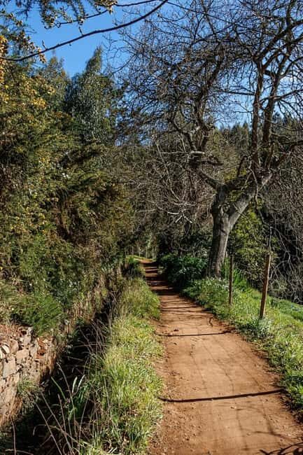 Madeira: Levada Paradise Valley Scenic Walk - An In-Depth Look at the Madeira Levada Paradise Valley Scenic Walk