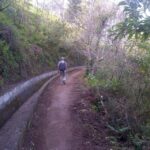Madeira: Levado do Norte 2-Hour Hiking Tour - Who Will Love This Tour?