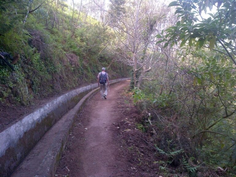 Madeira: Levado do Norte 2-Hour Hiking Tour - Who Will Love This Tour?