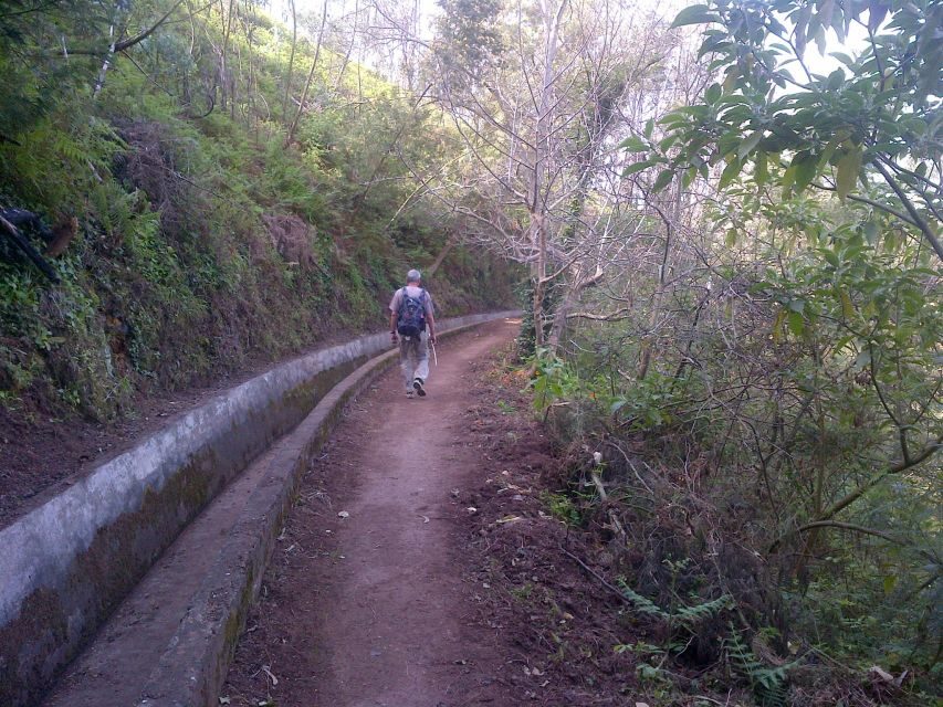 Madeira: Levado do Norte 2-Hour Hiking Tour - Who Will Love This Tour?