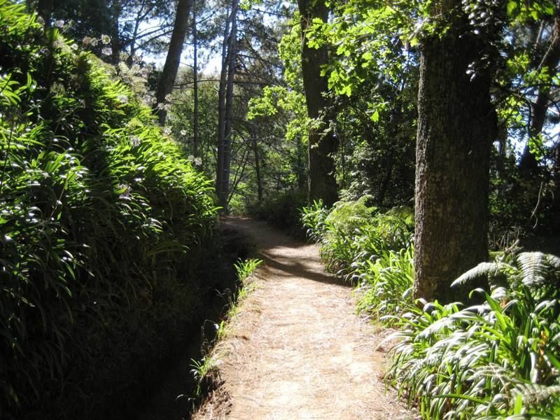 Madeira: Paradise Valley Levada Walk - Exploring Madeira’s Paradise Valley Levada Walk