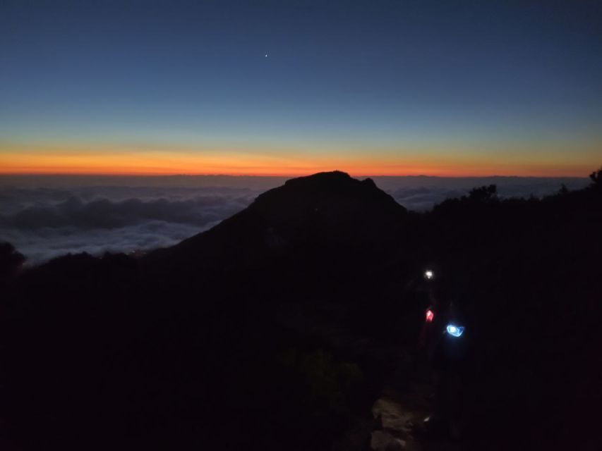 Madeira: Pico Ruivo Guided Sunrise Hike with Hotel Pickup - An In-Depth Review of the Pico Ruivo Sunrise Hike