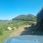 Madeira: Picturesque Peaks and Skywalk private 4x4 Jeep tour - The Experience: What Travelers Can Expect