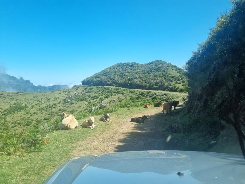 Madeira: Picturesque Peaks and Skywalk private 4x4 Jeep tour - The Experience: What Travelers Can Expect