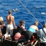 Madeira Pirate Ship: 3-Hour Boat Trip - Practical Details and Tips
